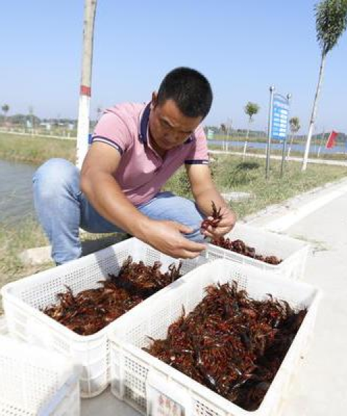 河南水投公司排名及行业影响力分析