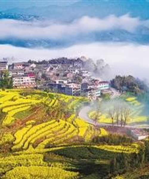 宁波农业公司排名