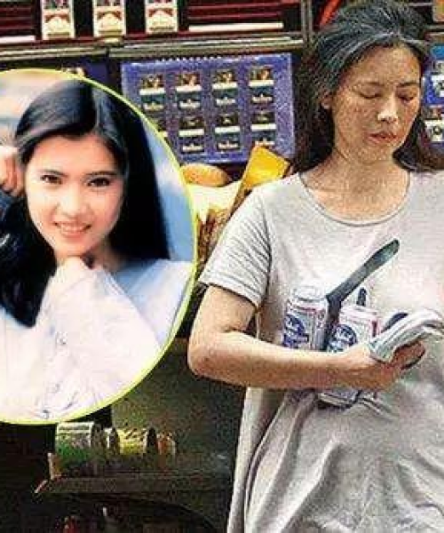 世界最美蜘蛛排名