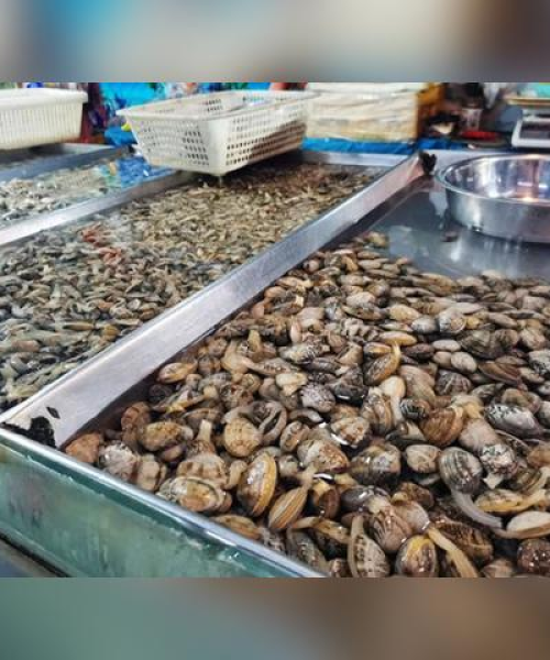 城阳水产报价查询网最新更新，精准数据揭示市场趋势