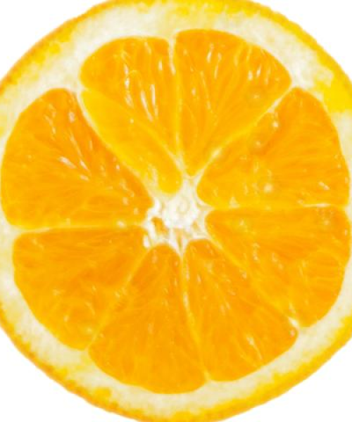 仪陇抢菜视频大全——最新播放列表