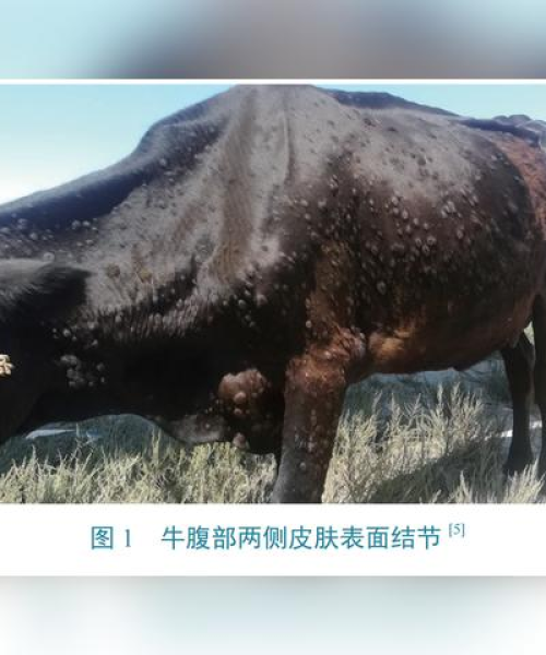 霍城今日最新疫情消息