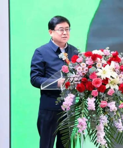 小米干净励志语录，奋斗的力量与成功的启示