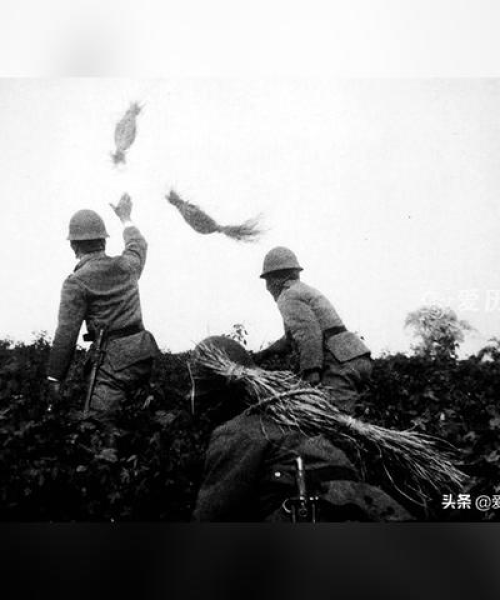 世界轰炸行动排名