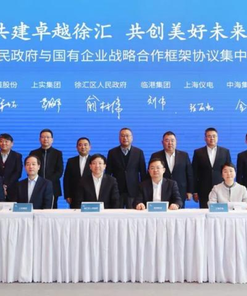 上海临港房地产公司排名及分析
