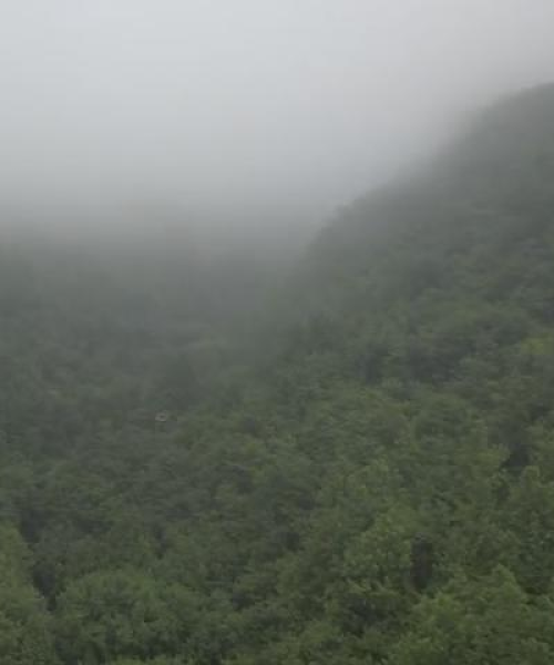 安徽今日降雨最新消息