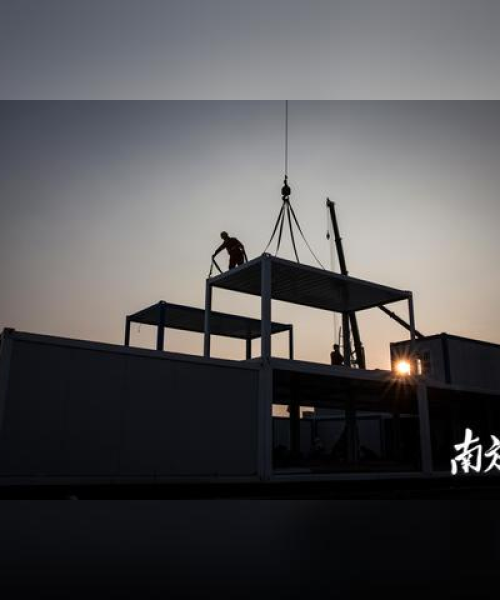 东北医药涨停最新消息，今日走势及市场反应