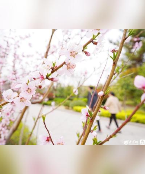 项目招商信息 第8页