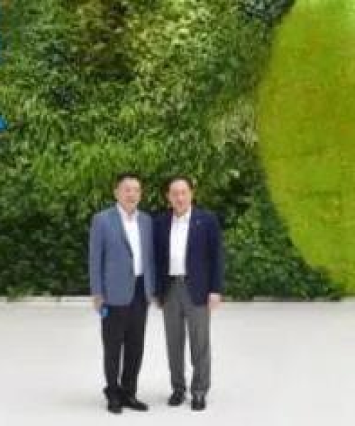澳门光伏大棚公司排名及其行业影响力