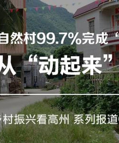 高州新闻头条视频——展现地方发展的生动画面