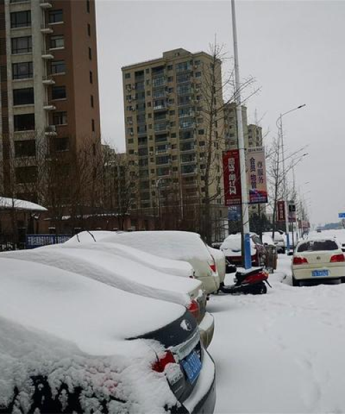 武隆暴雪今日最新消息，全面应对恶劣天气，保障人民生命财产安全