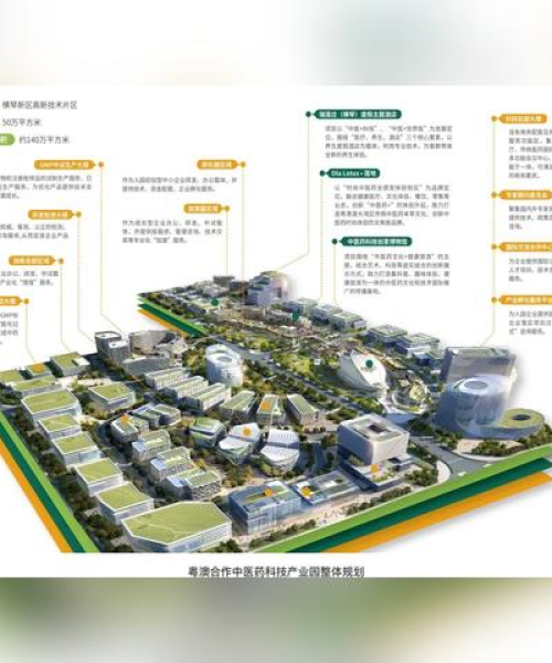 政策表明：2025澳门天天彩开奖结果查询｜全部解答解释落实