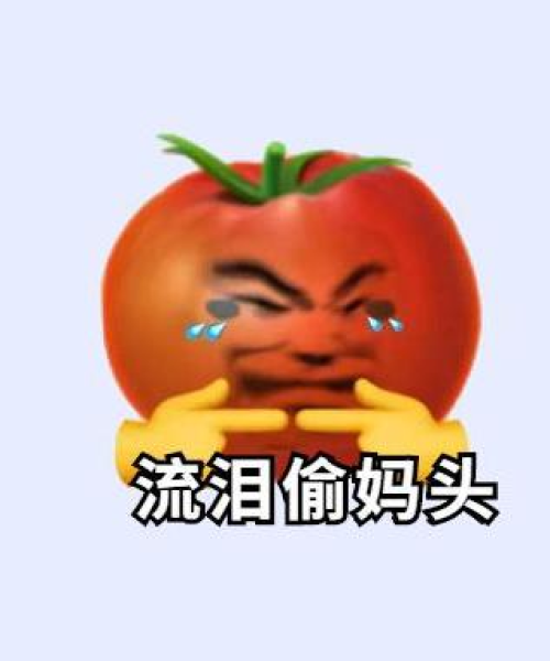 政策要点：新澳门内部精准公开｜理性解答解释落实