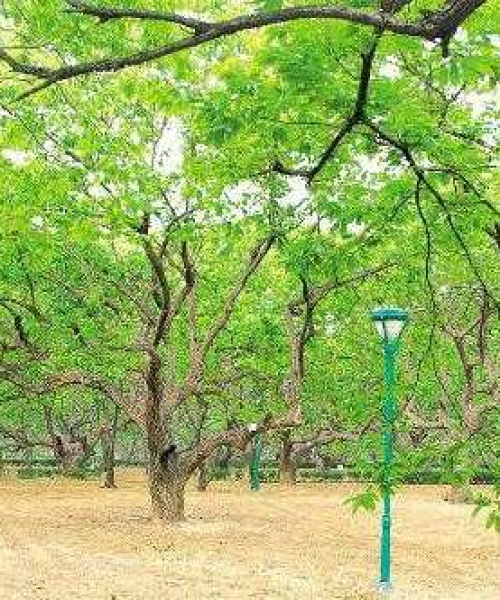 阳谷竹山新闻头条——当地发展新篇章