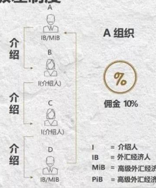 今日普顿最新消息
