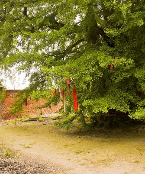 泰安佛教寺院排名前十名