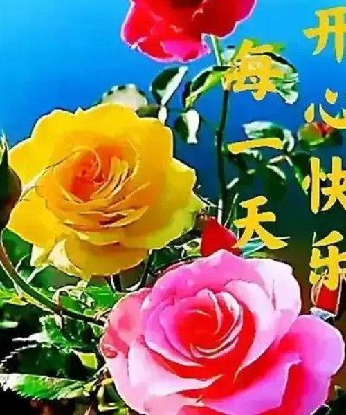 励志鸡汤语录经典短句