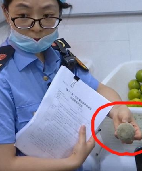 淮安精品餐厅排名前十名，你不可不知的美食天堂！
